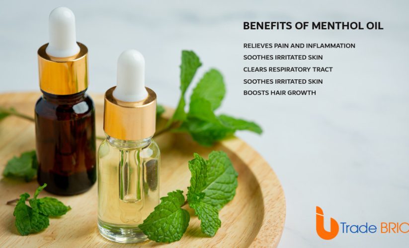 Menthol Oil: Benefits, Uses, and Precautions!