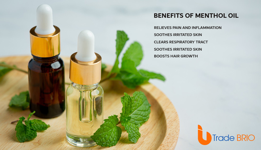 Menthol Oil: Benefits, Uses, and Precautions!