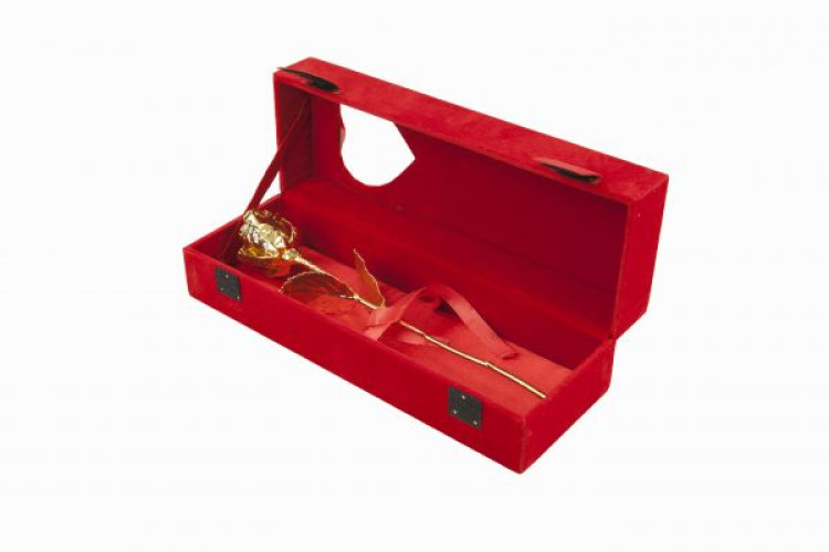 Gold dipped real rose 11.5 inch in red velvet box