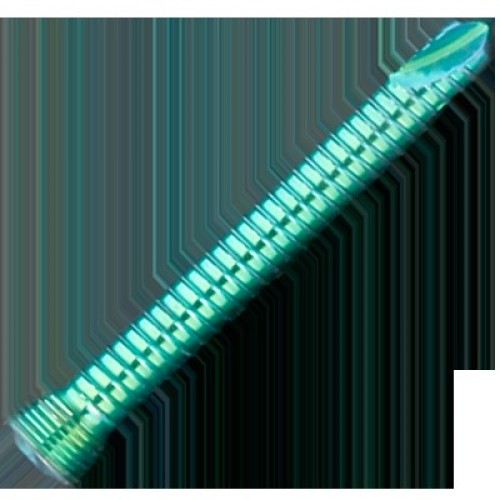 Bone locking screw