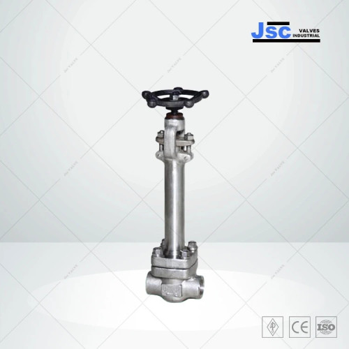 Api 602 cryogenic globe valve