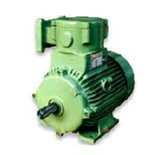 Explosion proof motor