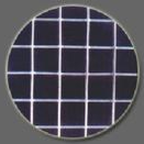 Welded wire mesh