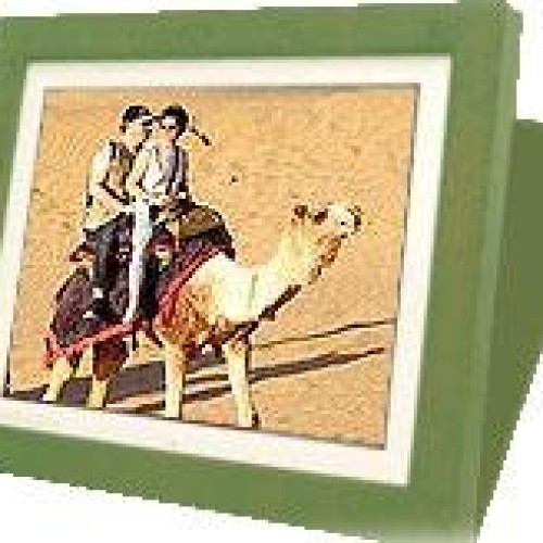 Rajasthan tour