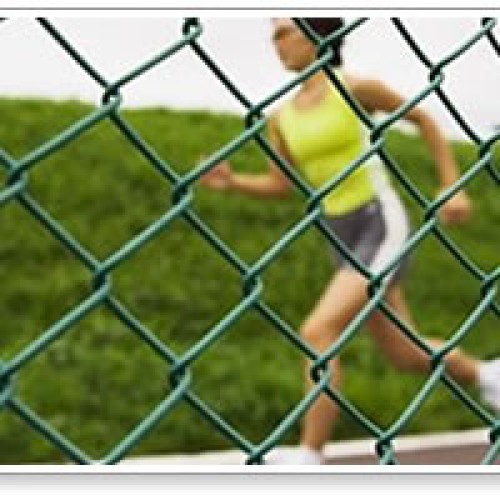 Chain link fence