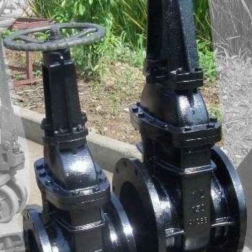 Cast iron o&y gate valve