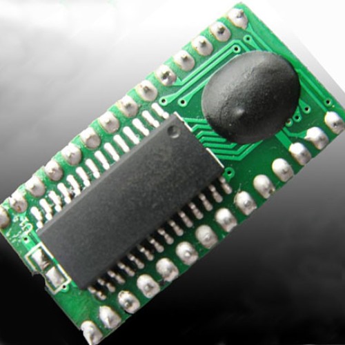 Voice chip