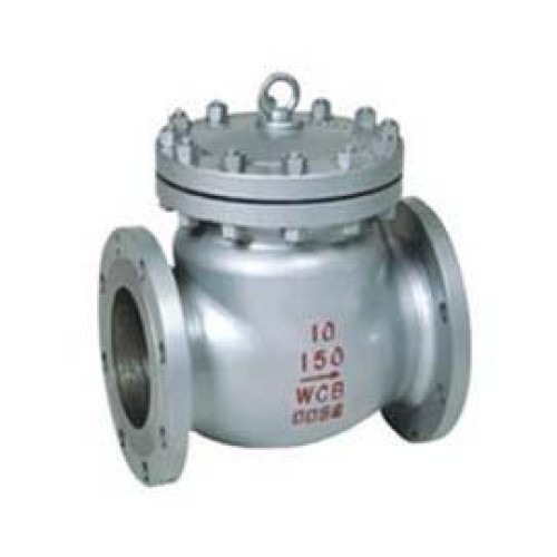 Swing check valves