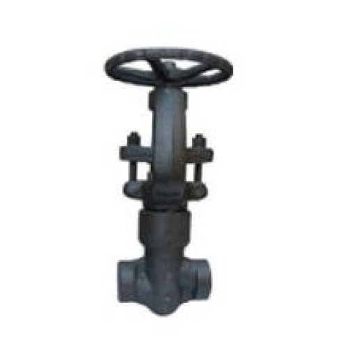 Pressure seal globe valve