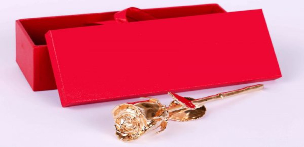 Gold dipped real rose 11.5inch in red mdf box