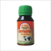 ENTROTOS