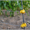 Solar Animal Fencing Systems