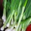 Fresh Scallions