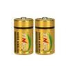 LR14 Alkaline Battery