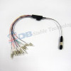 MPO-LC  patch cord