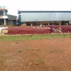 chilli powder