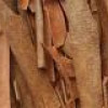 Cinnamon