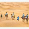Holidays Vacation Tours India