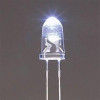 LEDS/LED Diode