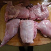 rabbit meat