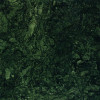 Plain Green