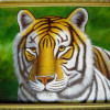 oil paintingS