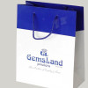 paper bag